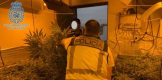 Detenido en Dos Hermanas por plantar marihuana en una nave marihuana en una nave