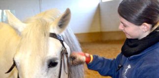 Prácticas remuneradas para jóvenes a través de «Aprendizaje profesional» Aprendizaje profesional