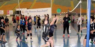 Las Escuelas Deportivas Municipales de Dos Hermanas se reactivan Escuelas Deportivas Municipales