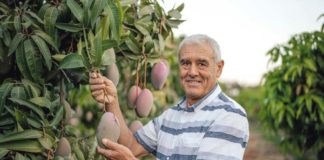 Lidl promociona esta semana la calidad de sus frutas y verduras producidas en Andalucía Lidl