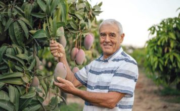 Lidl promociona esta semana la calidad de sus frutas y verduras producidas en Andalucía Lidl