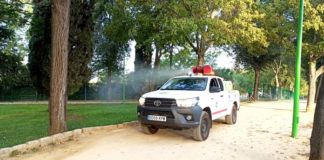 Continúan las actuaciones contra el mosquito de la Fiebre del Nilo mosquito de la Fiebre del Nilo