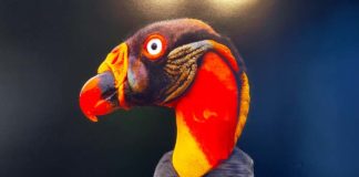 Nuevas exposiciones en La Almona de fotografía y de arte y poemas exposiciones en La Almona