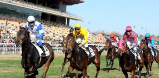 El Hipódromo acoge la temporada de carreras invernal Hipódromo