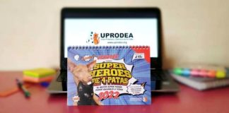 Uprodea monta su mercadillo solidario a las puertas del Ayuntamiento Uprodea