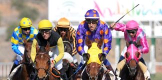 El Gran Hipódromo de Andalucía acoge la última jornada del año El Gran Hipódromo de Andalucía