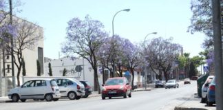 La Avenida 28 de Febrero contará con dos carriles en cada sentido Avenida 28 de Febrero