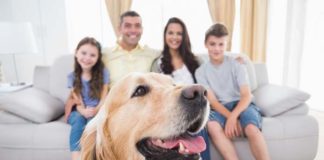 Concurso fotográfico «Uno más en la familia» en la Biblioteca Concurso fotográfico