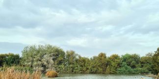 Últimos días del II Concurso Fotográfico Laguna de Fuente del Rey Concurso Fotográfico Laguna