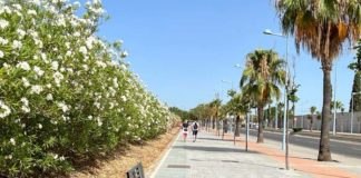 Finalizan las obras en la Ronda Adolfo Suárez Ronda Adolfo Suárez