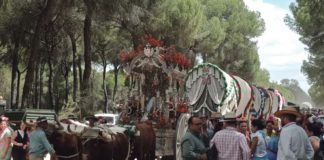 Crónica de la Romería de Nuestra Señora del Rocío de Almonte del año 2022 (I) Rocío