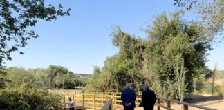 Las obras de acondicionamiento del parque Dehesa Doña María, a buen ritmo parque Dehesa Doña María