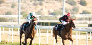 El Gran Hipódromo de Andalucía retoma las jornadas de carreras Gran Hipódromo de Andalucía