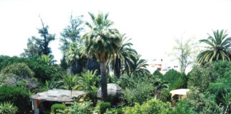 Jardín Azahara: una mansión, baile entre palmeras, piscina de cristal y un fantasma Jardín Azahara