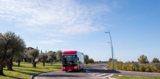El bus urbano de Dos Hermanas alcanza el millón de usuarios bus urbano