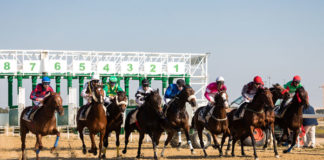Carreras de caballos y arroz, este domingo, en el Hipódromo carreras de caballo