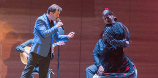 Mario Radío ofrecerá un espectáculo flamenco en el Teatro Municipal Mario Radío