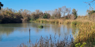 La Laguna de Fuente del Rey celebra el Día de los Humedales Manos Unidas
