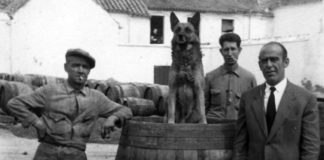 Un despacho de aceitunas en Cádiz: así huyó del hambre Pepe Torres Pepe Torres