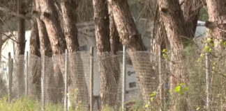 Uno de los fallecidos en el accidente de Los Palacios era de Dos Hermanas accidente
