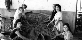 “Yo era tan presumida que iba al almacén de aceitunas con cuatro rosas en el pelo” Carmen Rivas