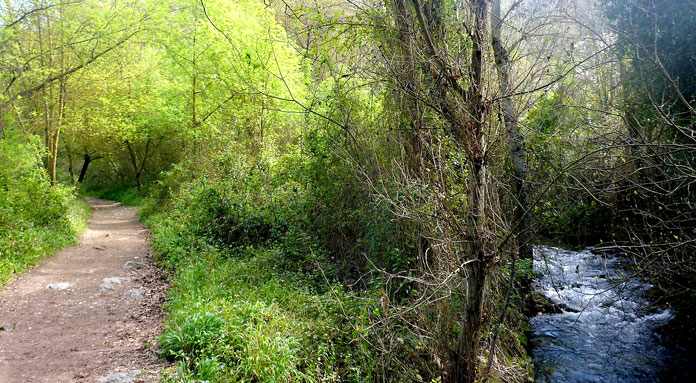sendero-rio-majaceite Senderismo Joven