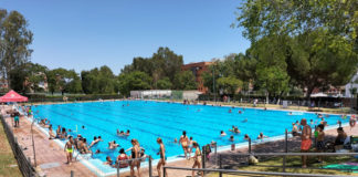 Las piscinas municipales contarán con animación piscinas municipales