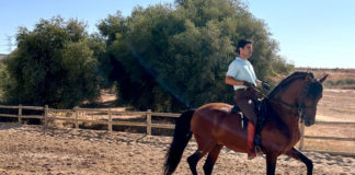 Exhibición de Doma Vaquera en el Gran Hipódromo de Andalucía doma vaquera
