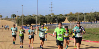 La Media Maratón Tierra y Olivo abre plazo de inscripción Media Maratón Tierra y Olivo