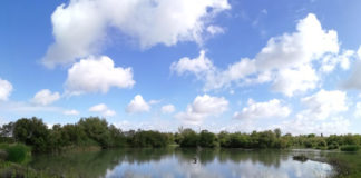 Actividades gratuitas para toda la familia en la Laguna la Laguna