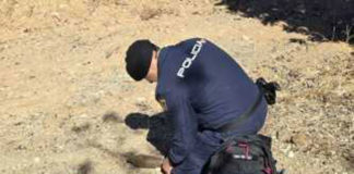 Encontrado un artefacto explosivo en una chatarrería artefacto explosivo