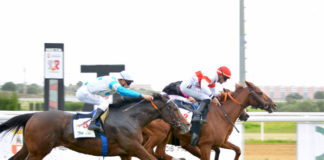 El Hipódromo acoge jornadas de carreras los días 6 y 8 Hipódromo