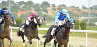 Nueva jornada de carreras de caballos en el Hipódromo carreras de caballos