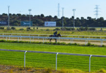 El Hipódromo acoge la última jornada de carreras de caballos carreras de caballos