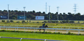 El Hipódromo acoge la última jornada de carreras de caballos carreras de caballos