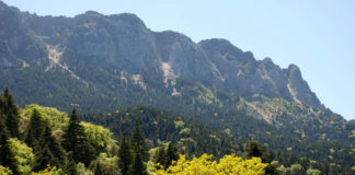 Senderismo Joven 2025 inicia su programación Senderismo Joven