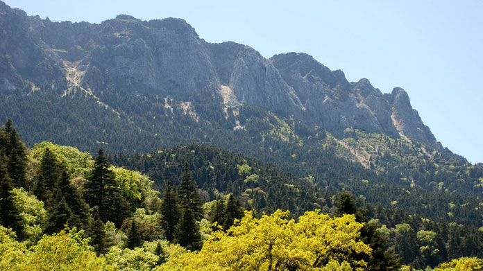 pinsapar-grazalema Senderismo Joven