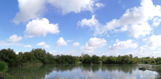 La Laguna de Fuente del Rey celebra el Día Mundial del Medio Ambiente La Laguna de Fuente del Rey