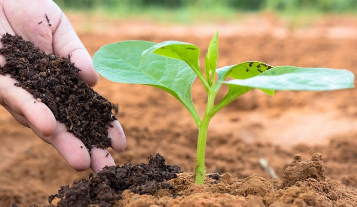 agricultura-ecologica cursos gratuitos