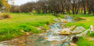 Nuevo impulso al parque fluvial de la Dehesa de Doña María parque fluvial