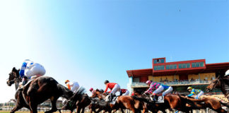 El Gran Hipódromo de Andalucía inaugura su temporada Hipódromo