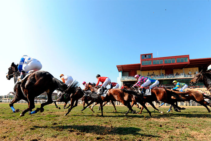 carreras-hipodromo Hipódromo