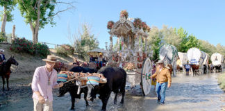 La Hermandad del Rocío celebra su Operación Carreta Hermandad del Rocío