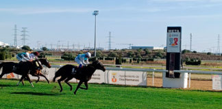 El Hipódromo acoge este domingo la primera jornada del año Hipódromo