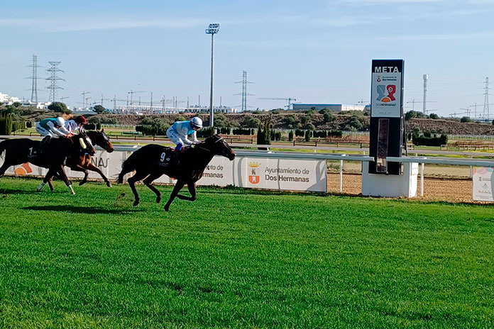 carrera-hipodromo Hipódromo