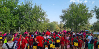 Escuelas de Verano gratuitas desde junio Escuelas de Verano en Dos Hermanas