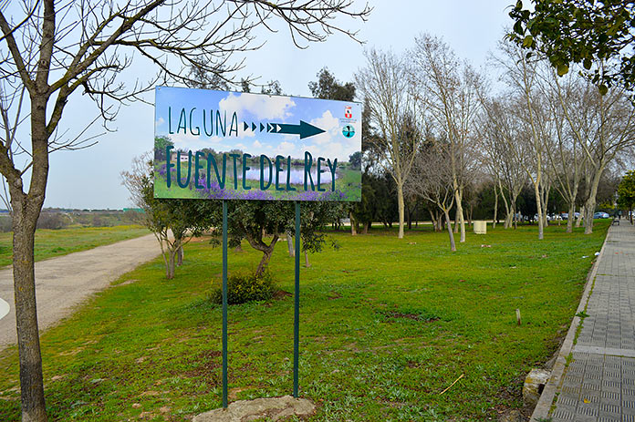 laguna-fuente-del-rey-h2 Taller en la Laguna de Fuente del Rey