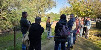 Fuente del Rey celebra el Día del Medio Ambiente Laguna Fuente del Rey