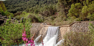 Senderismo Joven abre inscripciones para una ruta por la Sierra de las Nieves Senderismo Joven Dos Hermanas