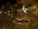 La Laguna de Fuente del Rey celebra el Día de las Aves Día de las Aves en Dos Hermanas